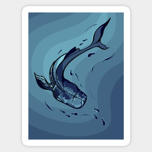 Whale Shark Sticker